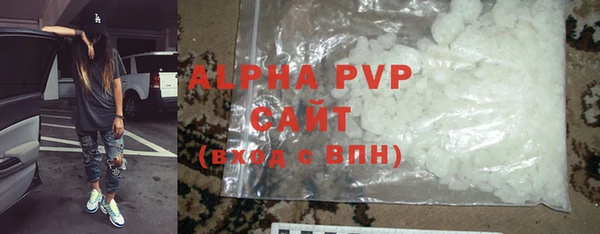 стаф Верея