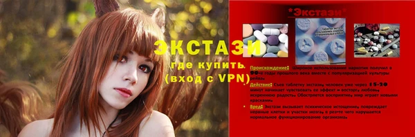 прущие грибы Вязьма