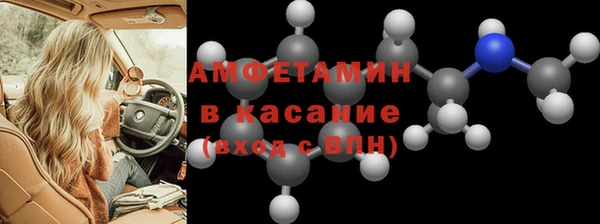 стаф Верея