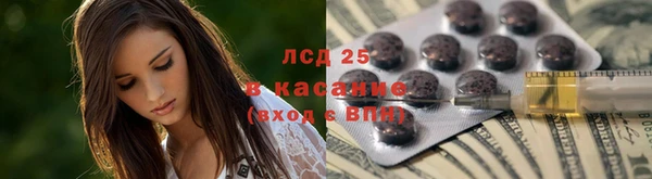 шишки Вяземский