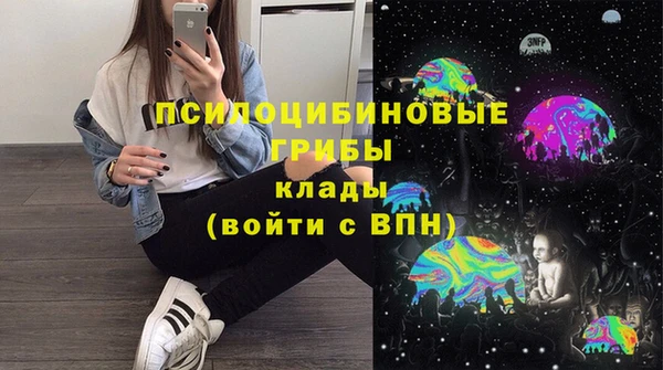 спайс Елизово
