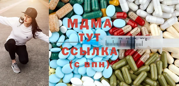 прущие грибы Вязьма