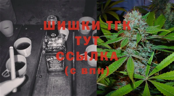 прущие грибы Вязьма