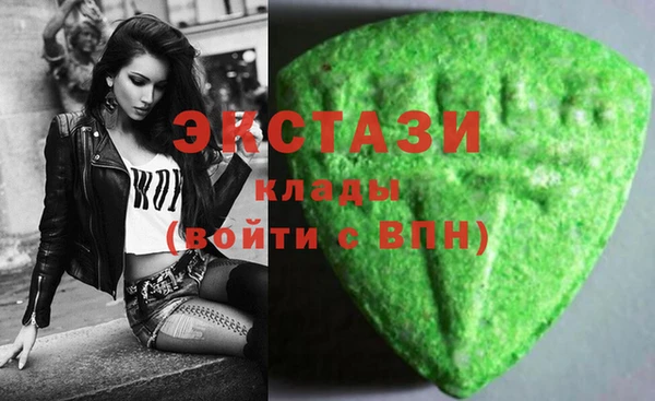 стаф Верея