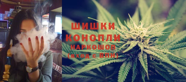 стаф Верея