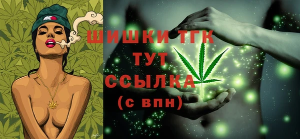 шишки Вяземский