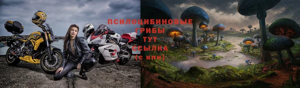 шишки Вяземский