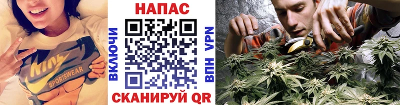 Канабис сатива  hydra ссылки  Елизово 